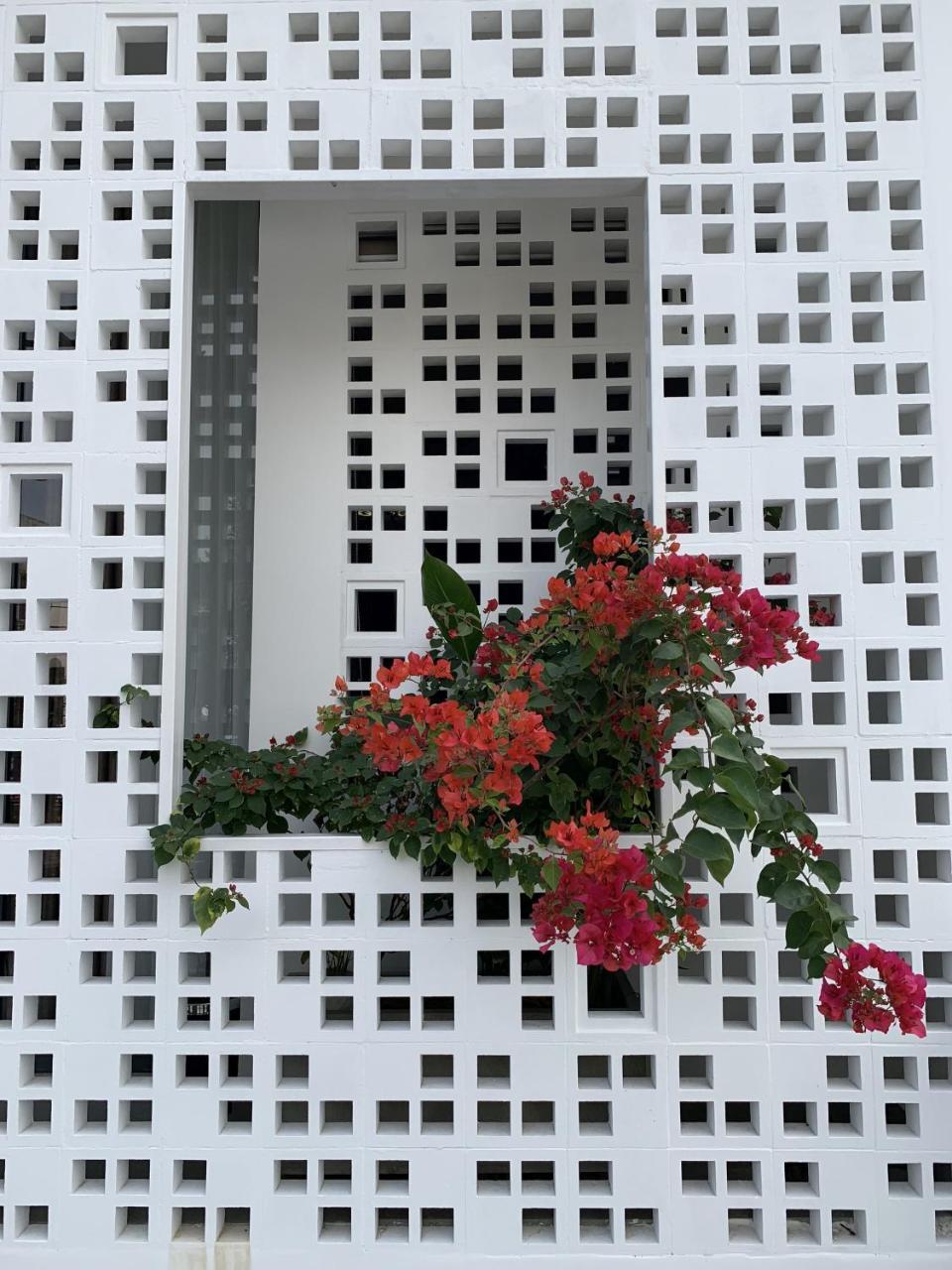 La An Homestay Хойан Экстерьер фото